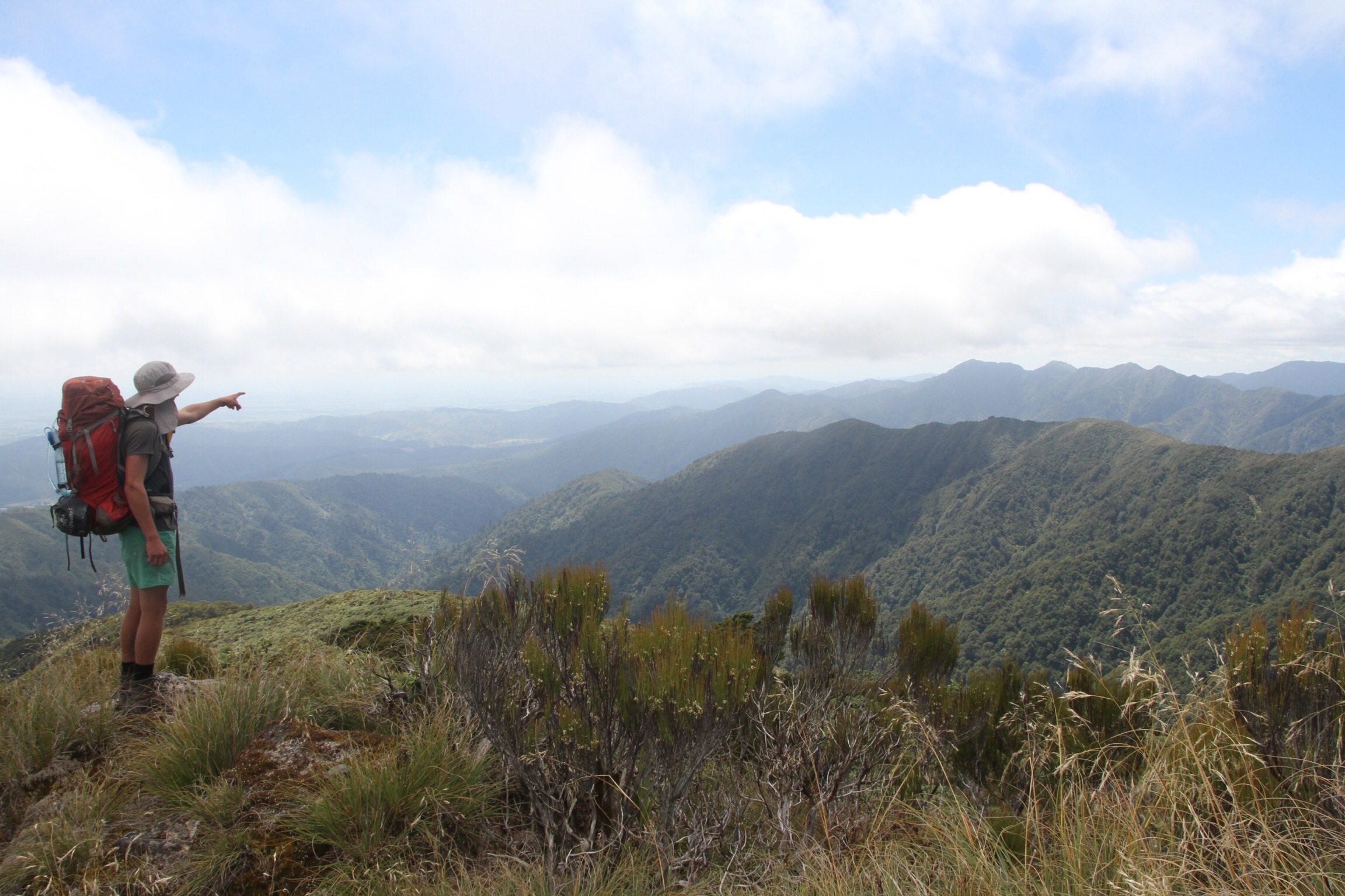 Tag 1 in den Tararuas: Vom Fuße bis zur Matawai Hut: